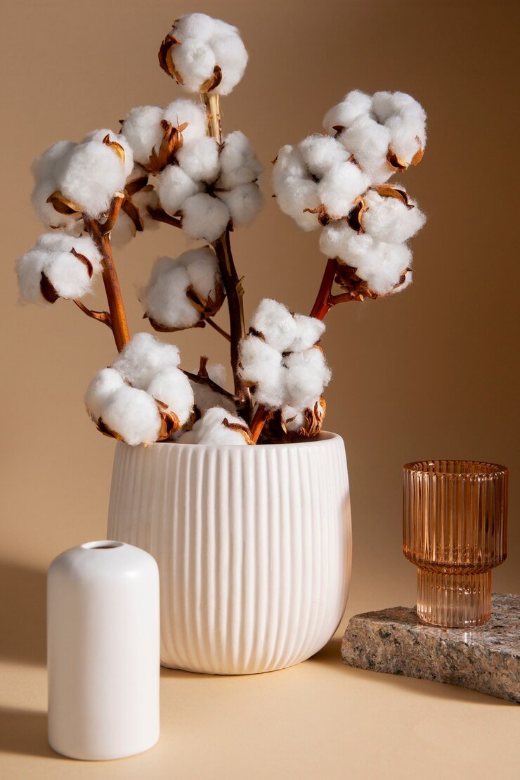 Cotton