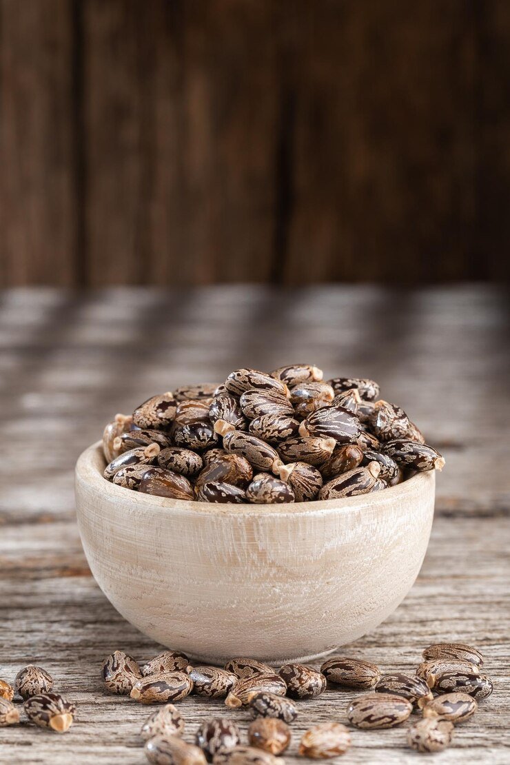 Castorseeds
