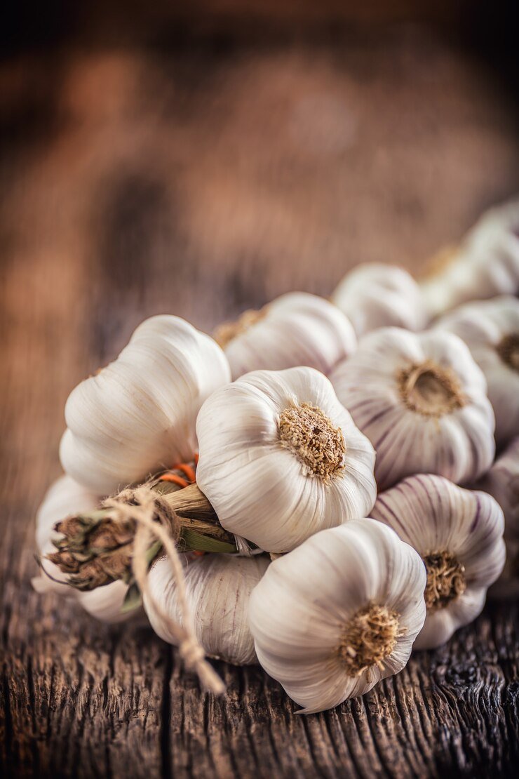 Garlic