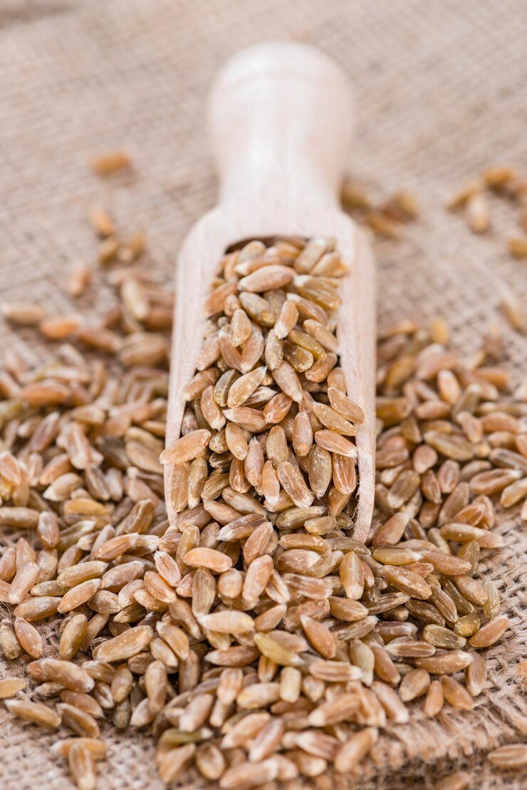 Wheat