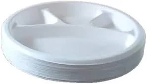 11 Inch Plate View 1