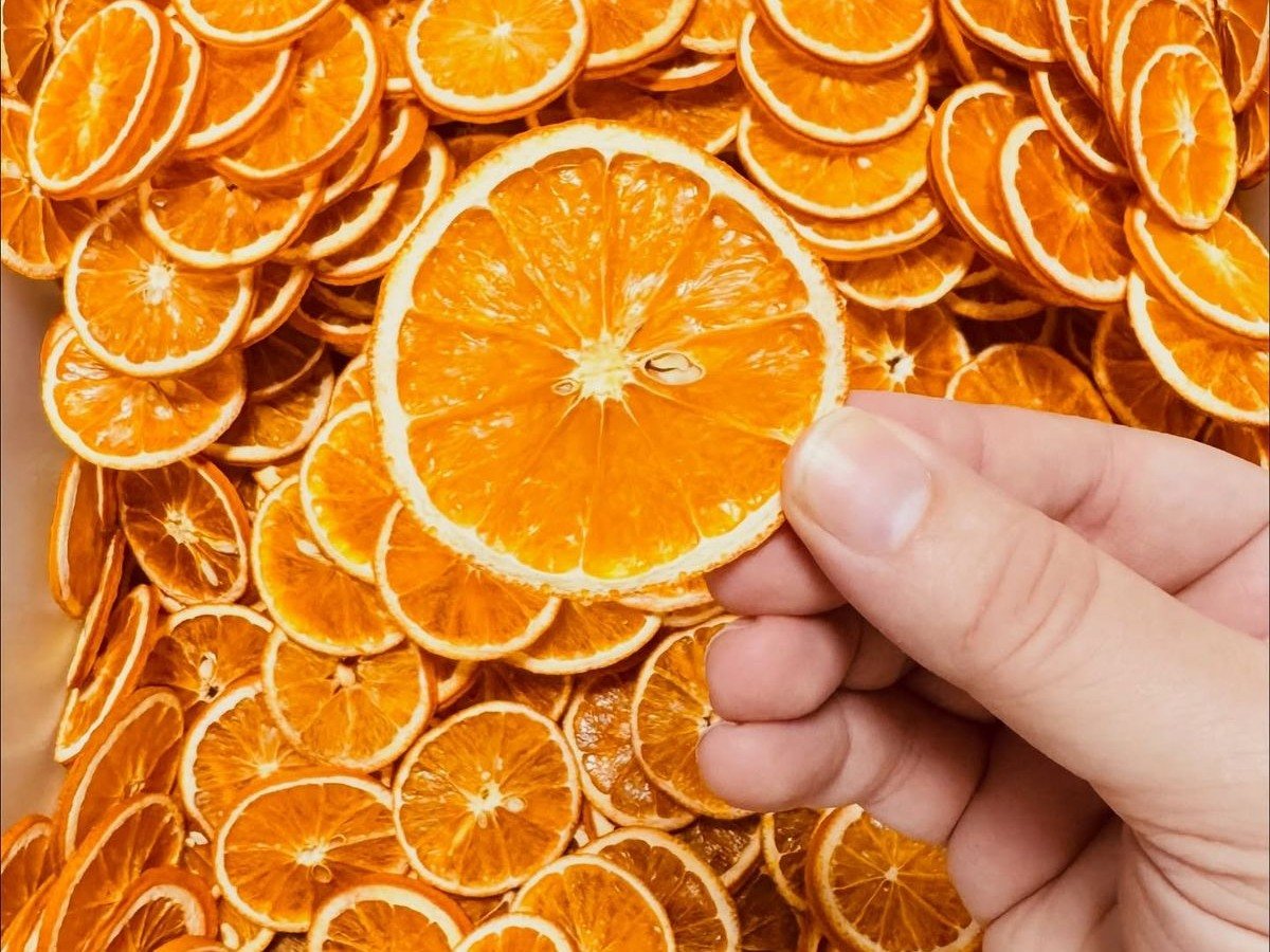 Freeze Dry Orange